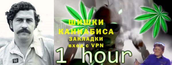 спиды Медвежьегорск