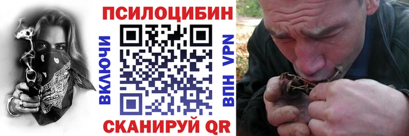 гидра рабочий сайт Нытва Галлюциногенные грибы мицелий